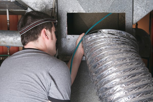 Belltown House Dehumidifiers